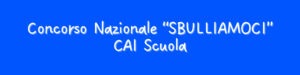 Menzione speciale al concorso “Sbulliamoci” per la Primaria di Cumiana Capoluogo