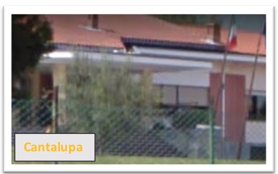 PRIMARIA CANTALUPA
